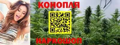 мдпв Можайск
