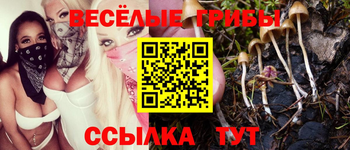 Галлюциногенные грибы мицелий  Вход с VPN  Гурьевск 