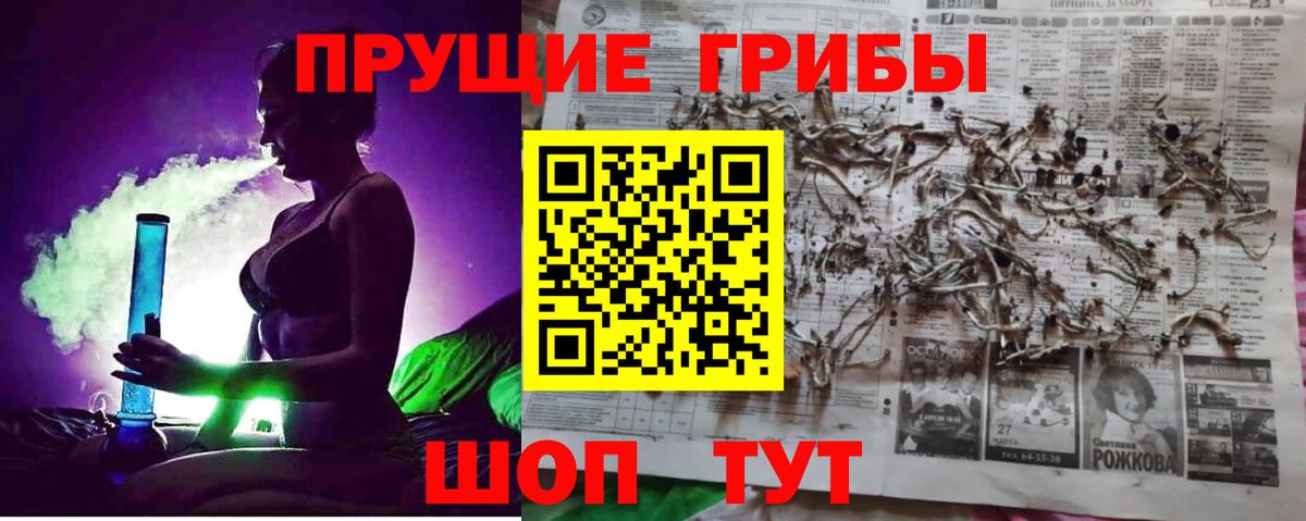 Галлюциногенные грибы ЛСД Гурьевск
